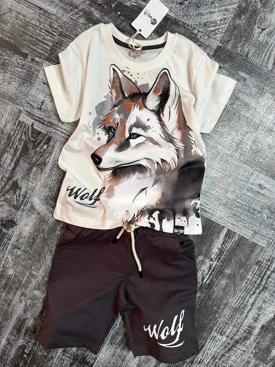 Komplet 2Cz. T-Shirt Szorty Wilk chłopak grafit 1059-14524 GKMOC - - #tag1# - #tag2# - #tag3# - #tag4#