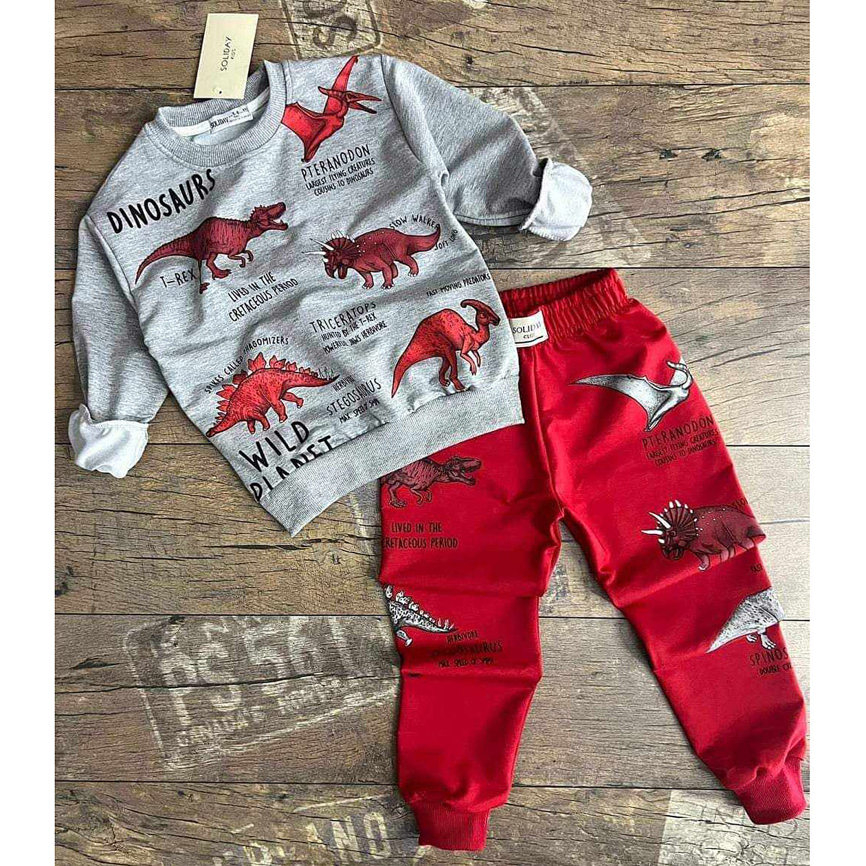 Tracksuit 2 pieces dinosaurs boy red Soliday 23303-19924