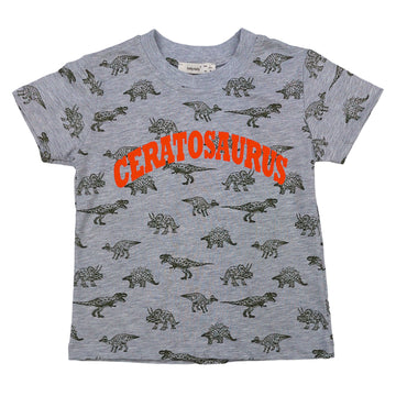 T-Shirt Dinosaur boy gray 1429-26424 GKMOC